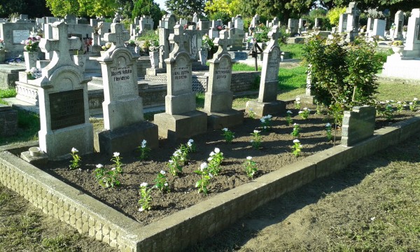 20160802 175537 600x360