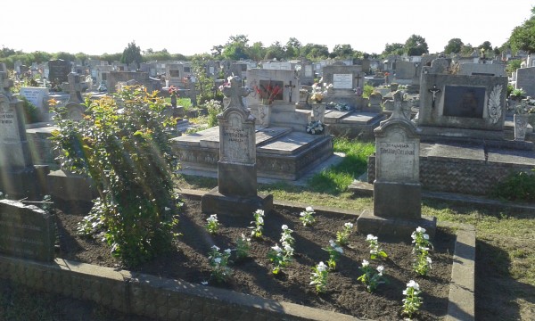 20160802 175552 600x360